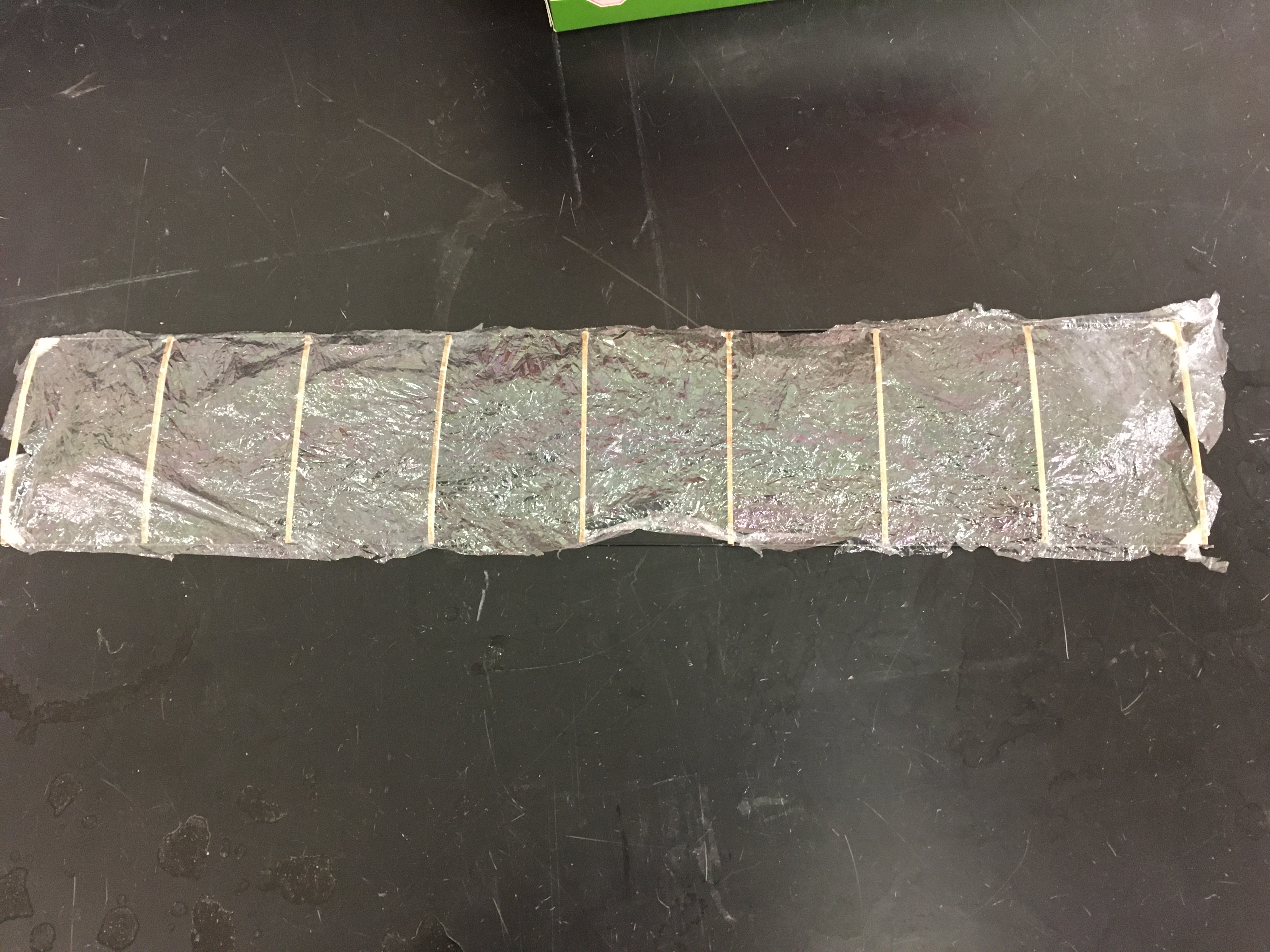 Airplane Finished Wings