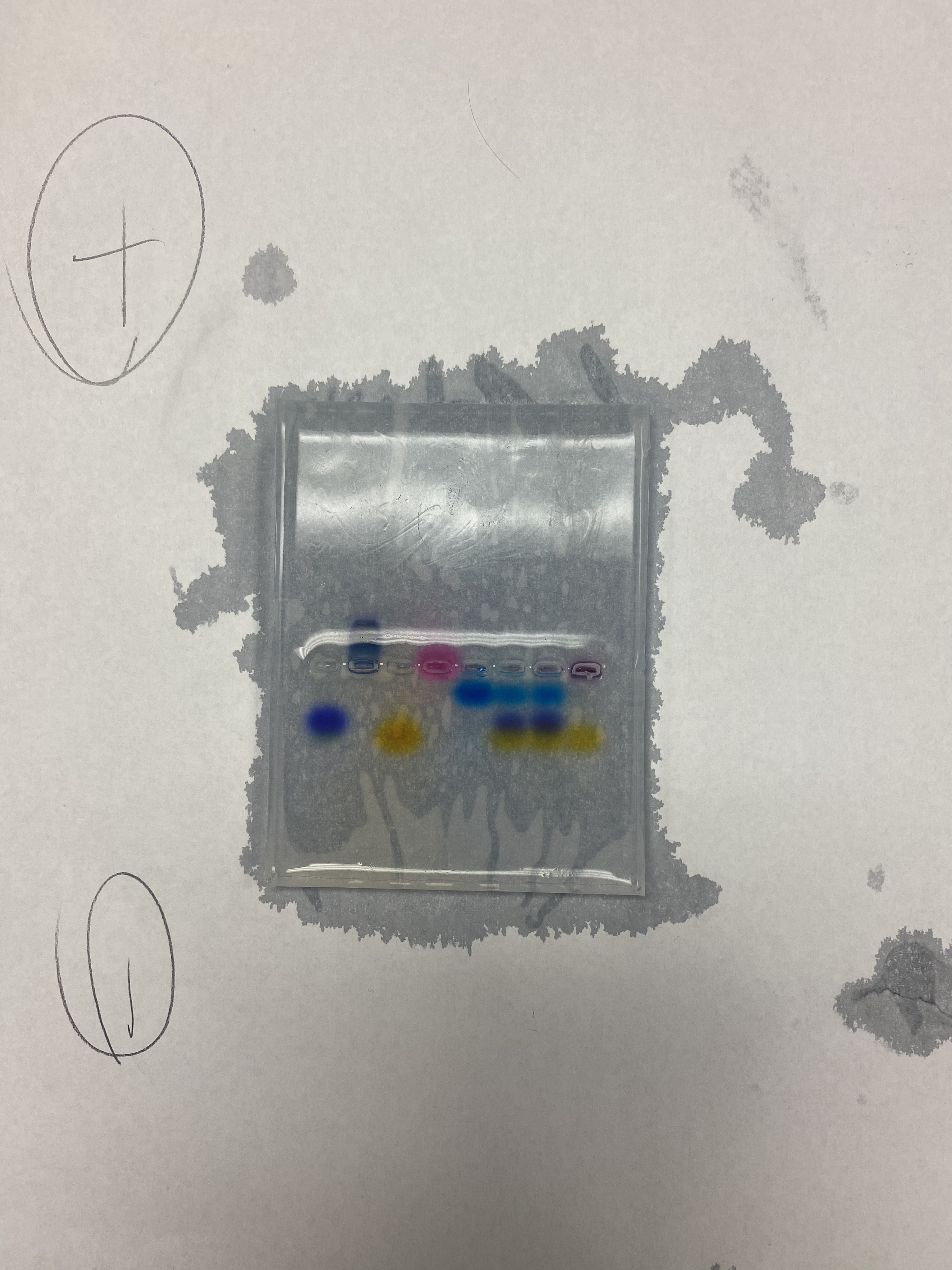 Second Gel Electrophoresis